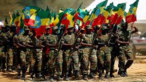 قوات-من-الجيش-الإثيوبي.jpg