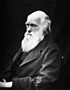 تشارلز داروين، اشتهر بنظرية التطور ومبدأ الانتخاب الطبيعي، حول نشأة الإنسان.