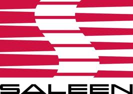 Saleen, "Power in the hands of a few"