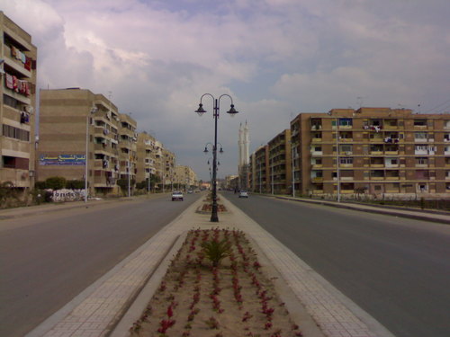 صورة من إحدى شوارع محافظة كفر الشيخ.