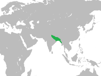 The Bengal Sultanate at its peak