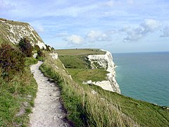 White Cliffs of Dover (264098158).jpg