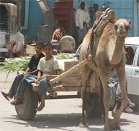 Jaar, Yemen1.jpg