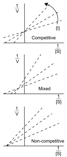 2D plots of 1/[S] concentration (x-axis) and 1/V (y-axis) demonstrating that as inhibitor concentration is changed, competitive inhibitor lines intersect at a single point on the y-axis, non-competitive inhibitors intersect at the x-axis, and mixed inhibitors intersect a point that is on neither axis.