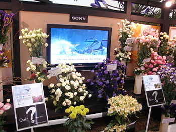 RFE06 Sony TV JP.jpg