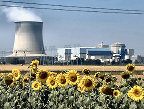 Photograph featuring sunflowers in front and a plant on the back. The plant has a wide smoking chimney with diameter comparable to its height.