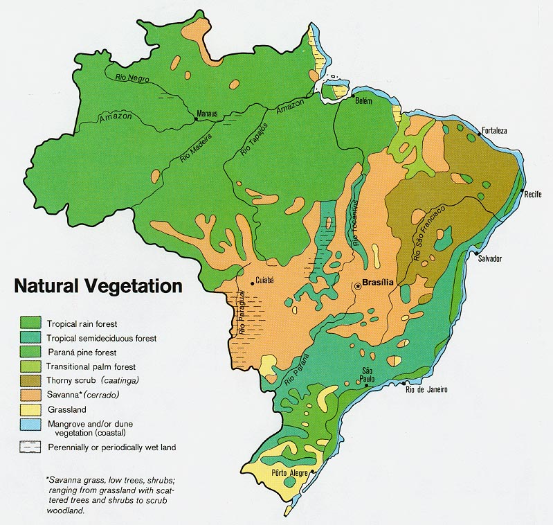 خريطة الكساء النباتي الطبيعي للبرازيل، 1977