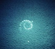 Aerial photo of bubbles forming a spiral at the surface