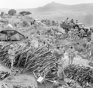 KAR soldiers collecting arms at Wolchefit Pass.jpg