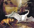 Swan attacked by a dog, (1745), North Carolina Museum of Art