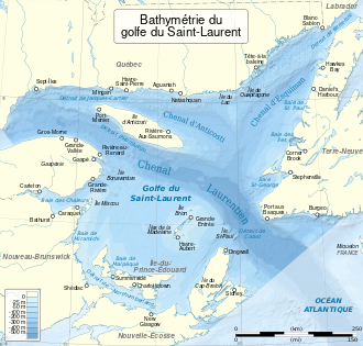 Bathymetry of the Gulf of St. Lawrence
