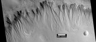 Gullies on wall of crater, as seen by HiRISE under HiWish program Location is the Mare Acidalium quadrangle.
