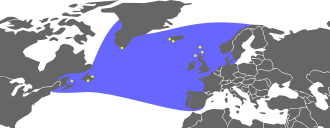 A map showing the range of the great auk, with the coasts of North America and Europe forming two boundaries, a line stretching from New England to northern Portugal the southern boundary, and the northern boundary wrapping around the southern shore of Greenland