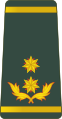 الجيش الجورجي