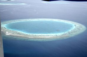 If an island sinks below the sea, coral growth can keep pace with the rising water and form an atoll