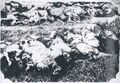 Victims of Tongzhou Muntiny