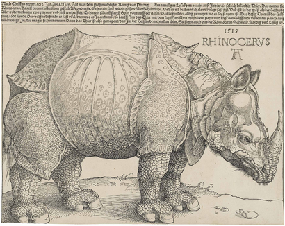 Dürer's Rhinoceros, 1515.png