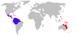 Bufo marinus distribution.png