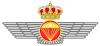Emblem of the Spanish Air Force Parachute.svg