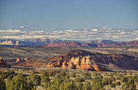 From Cottonwood Cove looking north past the teepees, in Coyote Buttes South, Arizona.jpg