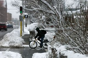 Trees and lawns covered in smow, cyclist stopped at a street light