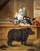 Clara the rhinoceros by Pietro Longhi, 1751