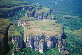 Chiribiquete view.jpg