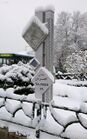 Tajrish Square in winter