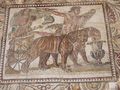 Mosaic of the leopards