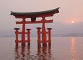 The torii at sunrise