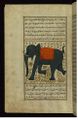 Zakariya ibn Muhammad Qazwini - An Elephant - Walters W659109A - Full Page.jpg