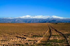 Sierra Nevada (Spain).jpg