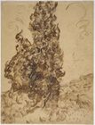 Vincent van Gogh, Cypresses (Les Cyprès), 1889, Reed pen, graphite, quill, brown ink and black ink on white wove latune et cie balcons paper,