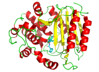 3D cartoon diagram of transpeptidase bound to penicillin G depicted as sticks.