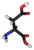 L-aspartic-acid-3D-sticks.png