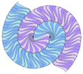 The Voderberg tiling, a spiral, monohedral tiling made of enneagons