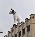 RCA Nipper atop the old RCA building, Broadway, Albany, New York