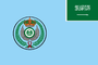 Flag of the Royal Saudi Air Force1.png