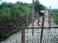 Crossing into the DPRK's part of Joint Security Area within the DMZ. The fence is electrified and the strip is mined.