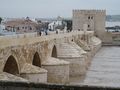 Cordoba, Roman Bridge (4427303258).jpg