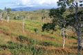 Brush countryside in the north, towards Poum