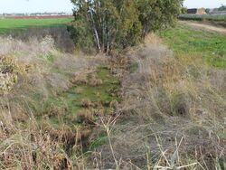 Guvrin Stream, sketching the border between the regional municipalities of Shafir and Be'er Tuvia.