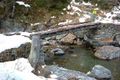 Log bridge