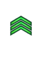 General Directorate of Public Security- Vice Sergeant.png