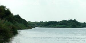 Rio Grande ح. 4.8 kilometres (3 mi) southeast of Falcon Reservoir, Municipality of Mier, Tamaulipas, Mexico (August 2007)