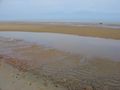 Mudflats in Brewster, Massachusetts، الولايات المتحدة، extending hundreds of yards offshore at the low tide. The line of seashells in the foreground indicates the high water mark.