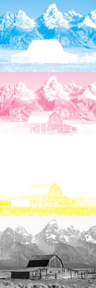 The image above, separated for printing with process cyan, magenta, and yellow inks.