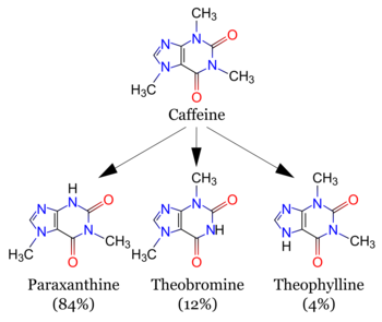A diagram featuring 4 الصيغ الكيميائية الهيكلية . أعلى (كافايين) ويتصل مركبات مماثلة بارازانسين, ثيوبرومين و ثيوفيللين.