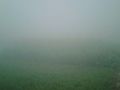 Heavy fog in fields of Punjab in winter