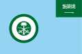 Ensign of the Royal Saudi Air Force. (Ratio: 2:3)